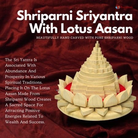Shriparni (sevan/saven) Shriparni Shri Yantra With Lotus Aasan