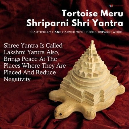 Shriparni (sevan/saven) Tortoise Meru Shriparni Shri Yantra