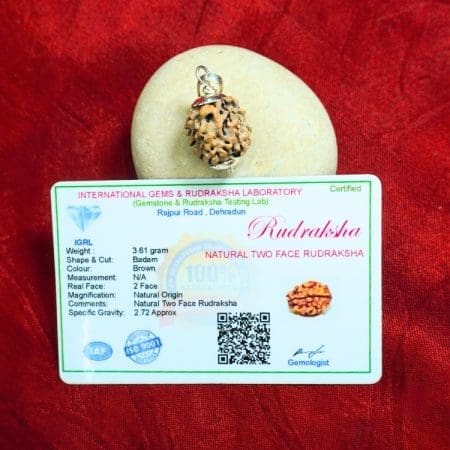 2 Mukhi Rudraksha / Two Face Rudraksha / Nepali Rudraksha with Certificate