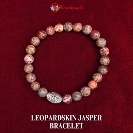 Leopardskin Jasper Bracelet 8mm