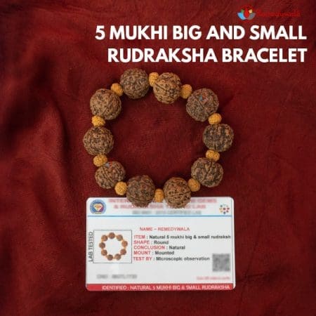 5 Mukhi Big and Small Rudraksha Bracelet