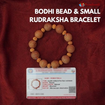 Bodhi Bead & Small Rudraksha Bracelet