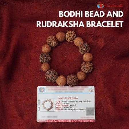 Bodhi Bead and Rudraksha Bracelet